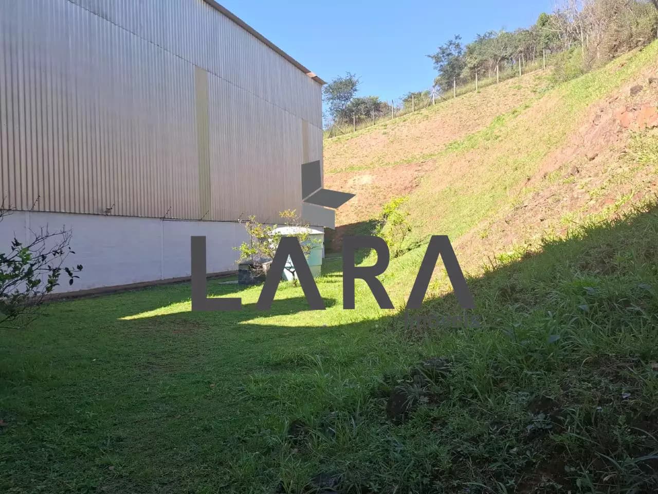 Miniatura 21