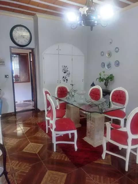 Miniatura 9