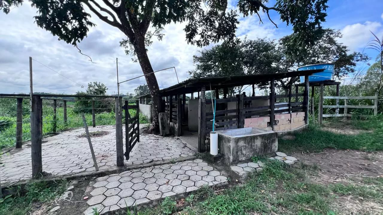 Miniatura 13