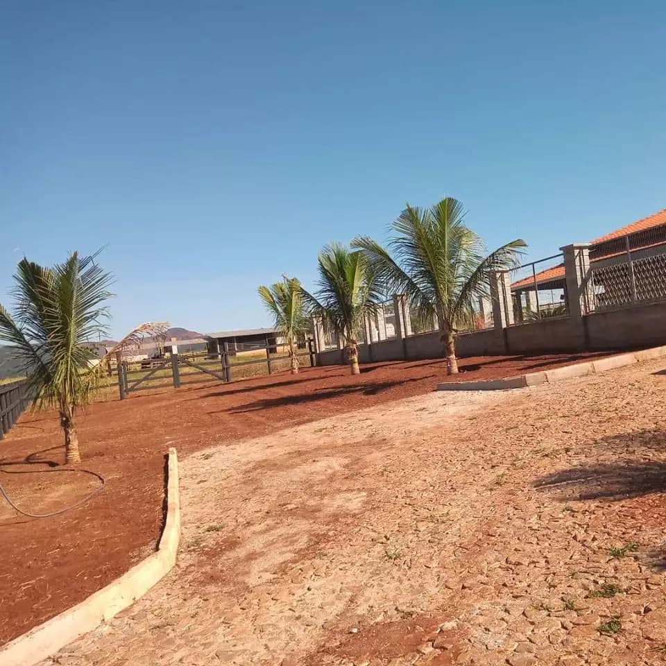 Miniatura 14