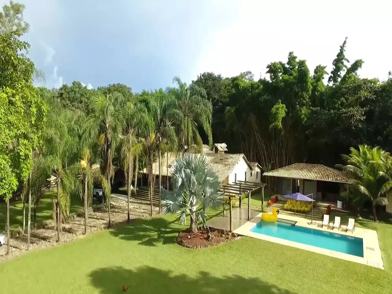 Miniatura 12