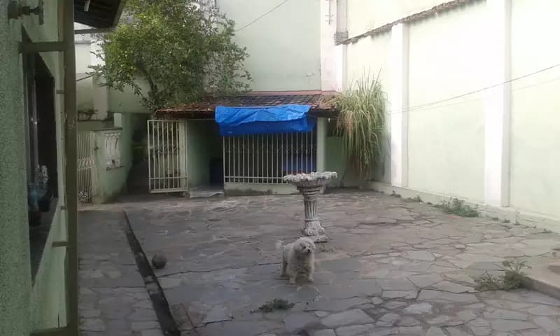 Miniatura 15