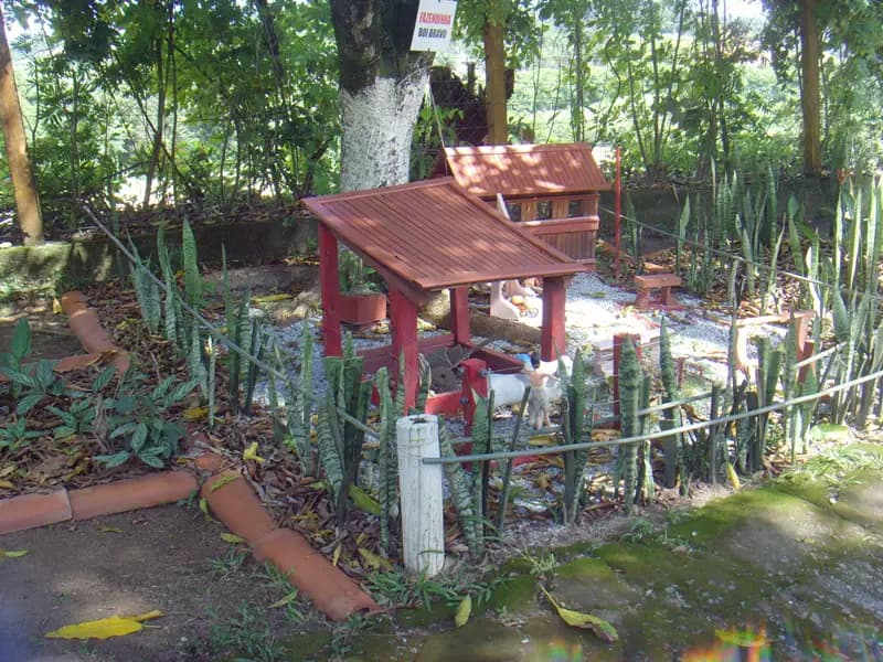 Miniatura 11