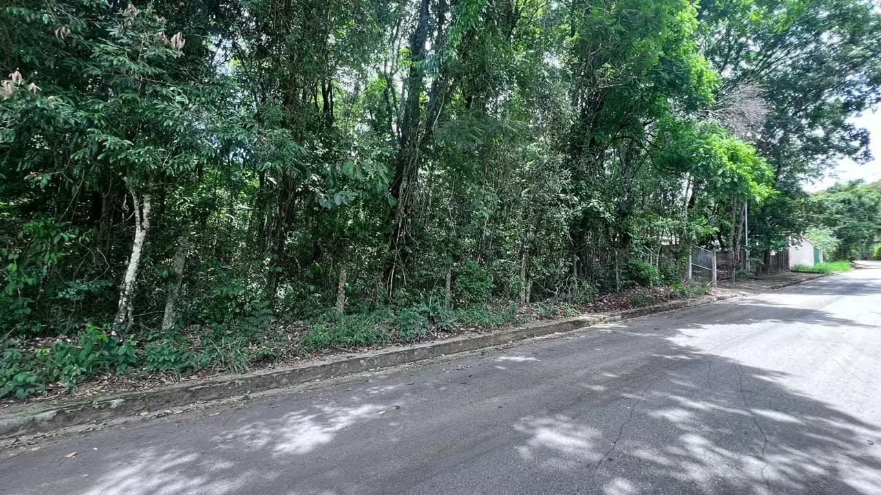 CHÁRACA PLANA REGIAO VIANOPOLIS